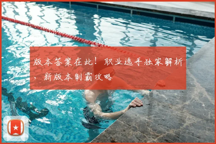 版本答案在此！职业选手独家解析，新版本制霸攻略