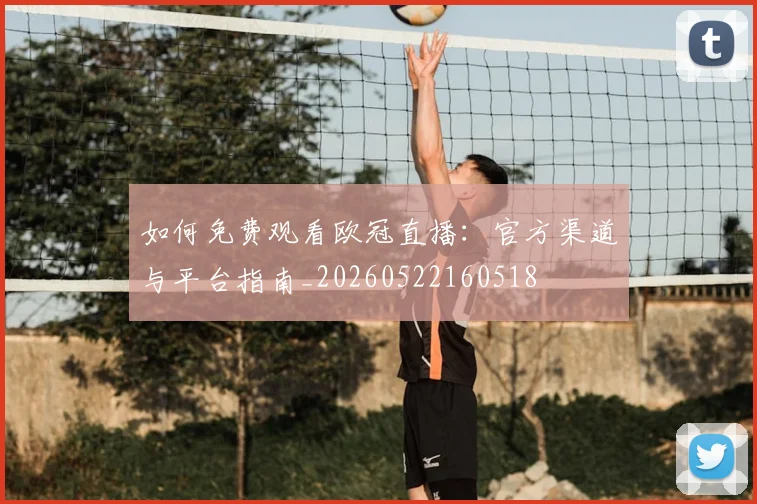 如何免费观看欧冠直播：官方渠道与平台指南_20260522160518