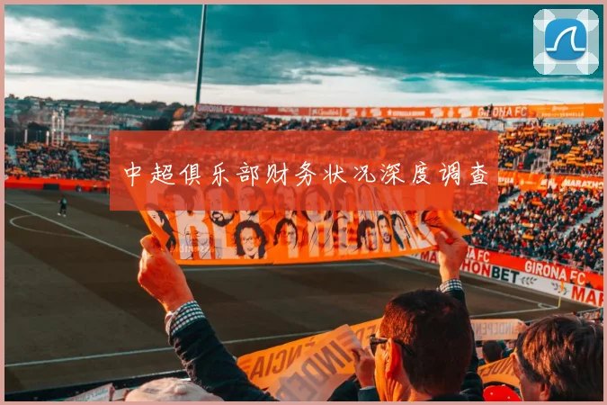 中超俱乐部财务状况深度调查