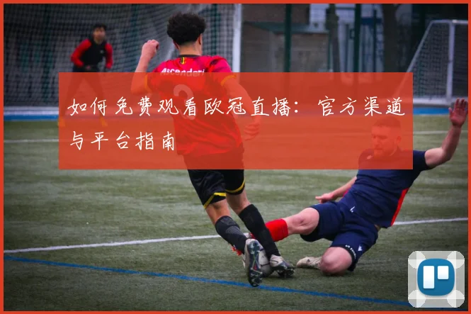 如何免费观看欧冠直播：官方渠道与平台指南